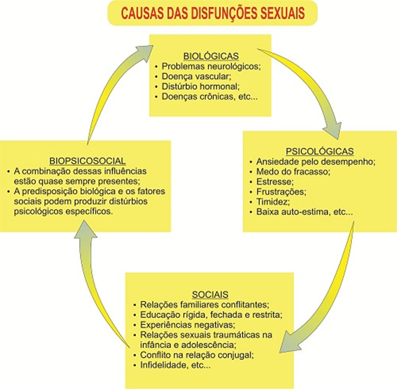 Causas das disfunções sexuais